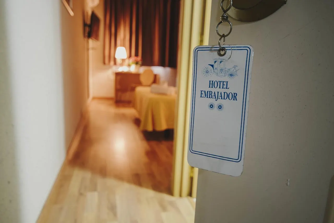 Hotel Embajador アルメリア